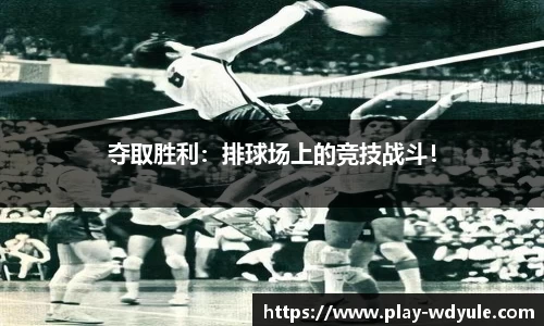 问鼎娱乐官网